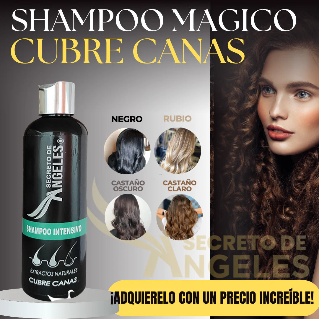 SHAMPO CANAS + COLAGENO + EXFOLIANTE + UNA GUIA 🎁 COMO EVITAR LAS CANAS PROGRESIVAS