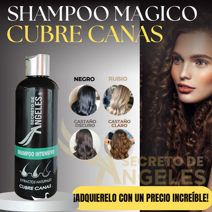 SHAMPO CANAS + COLAGENO + EXFOLIANTE + UNA GUIA 🎁 COMO EVITAR LAS CANAS PROGRESIVAS