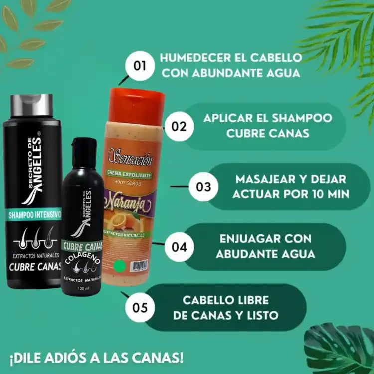 SHAMPOO CANAS + COLAGENO + EXFOLIANTE