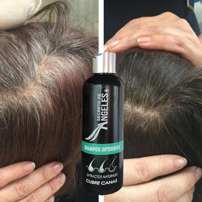 SHAMPO CANAS + COLAGENO + EXFOLIANTE + UNA GUIA 🎁 COMO EVITAR LAS CANAS PROGRESIVAS