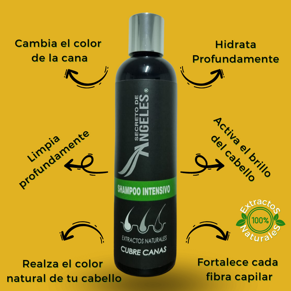 SHAMPO CANAS + COLAGENO + EXFOLIANTE + UNA GUIA 🎁 COMO EVITAR LAS CANAS PROGRESIVAS